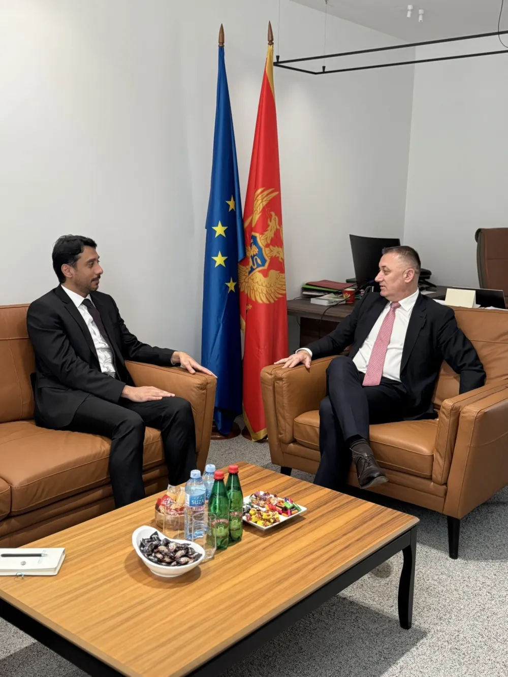 Ministarstvo socijalnog staranja, brige o porodici i demografije