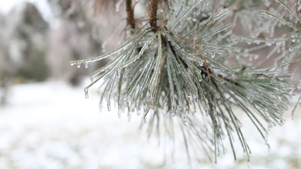 (VIDEO) Oblačno sa ki&scaron;om, u planinama snijeg