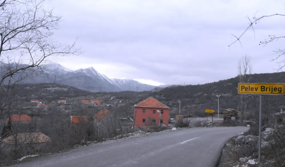 U Podgorici stočna groblja na tri lokacije za domaće životinje, ne i za ljubimce