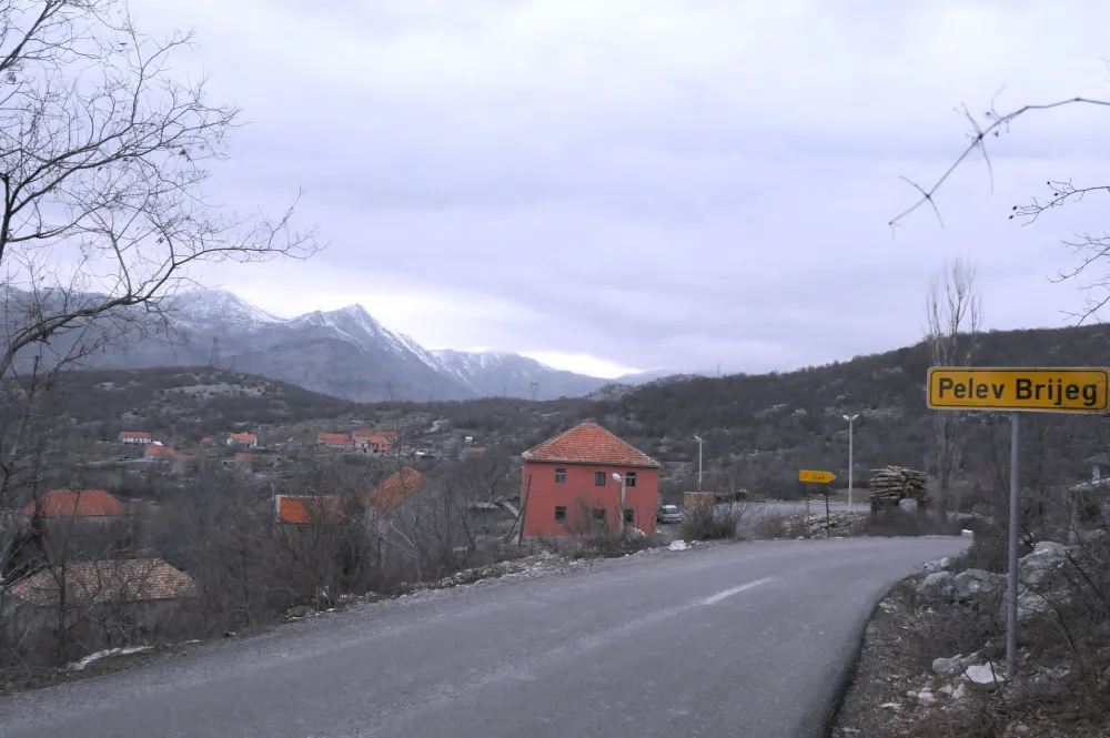 U Podgorici stočna groblja na tri lokacije za domaće životinje, ne i za ljubimce