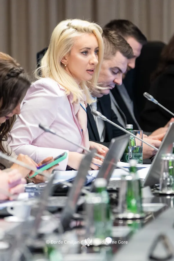 Ostvaren mjerljiv napredak u pro&scaron;loj, ova godina ključna za realizaciju preostalih obaveza iz Programa pristupanja EU