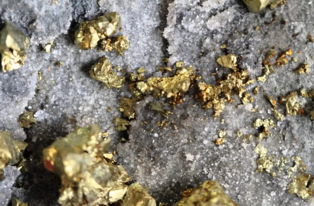 kanađani na&scaron;li zlato u BIH