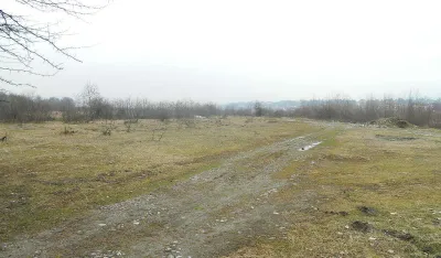 Lu&scaron;ki lugovi 10 godina čekaju da budu životinjsko carstvo