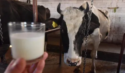 Trećina agrobudžeta ide na podr&scaron;ku za mlijeko