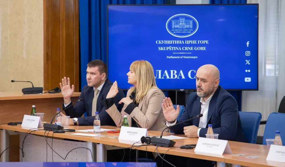 Odbor za ekonomiju će ponovo raspisati konkurs: Četvrta sreća za Fiskalni savjet