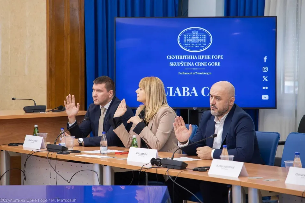 Odbor za ekonomiju će ponovo raspisati konkurs: Četvrta sreća za Fiskalni savjet