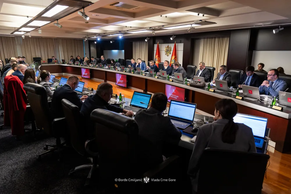 Vlada nije razmatrala inicijativu DNP-a