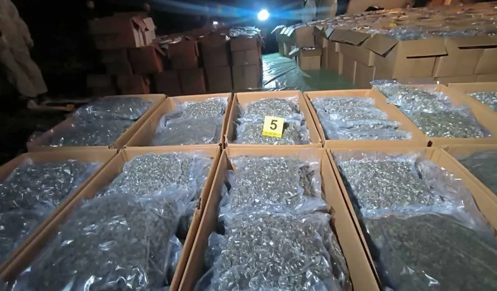 Srbija: Najveća zapljena marihuane, u selu Konjuh otkriveno pet tona droge