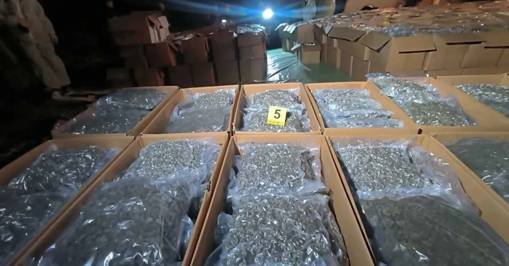 Srbija: Najveća zapljena marihuane, u selu Konjuh otkriveno pet tona droge