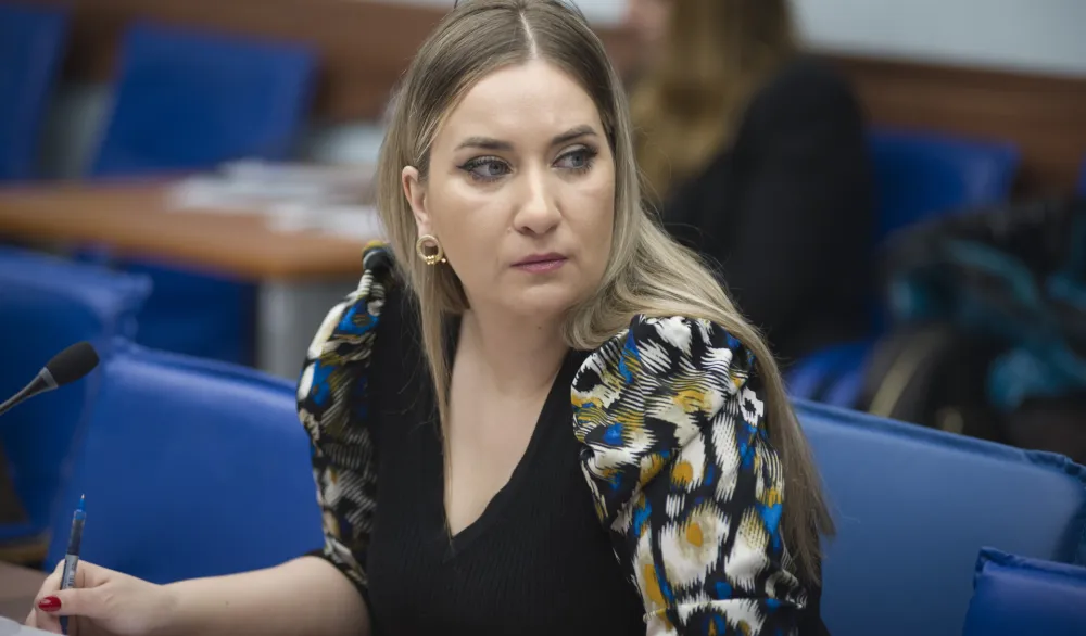 Vučelić: Prvo da zavr&scaron;imo posao i uđemo u EU, identitetske teme u ovom momentu ne smiju biti prioritet