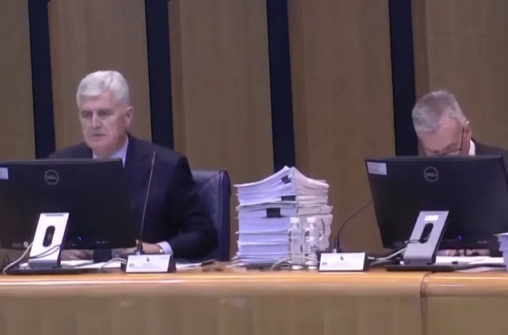 Lapsus na sjednici Doma naroda BiH: "Delegat Radovan Karadžić obavijestio nas je..."