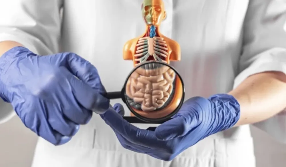 Ove životne navike značajno utiču na pojavu raka debelog crijeva