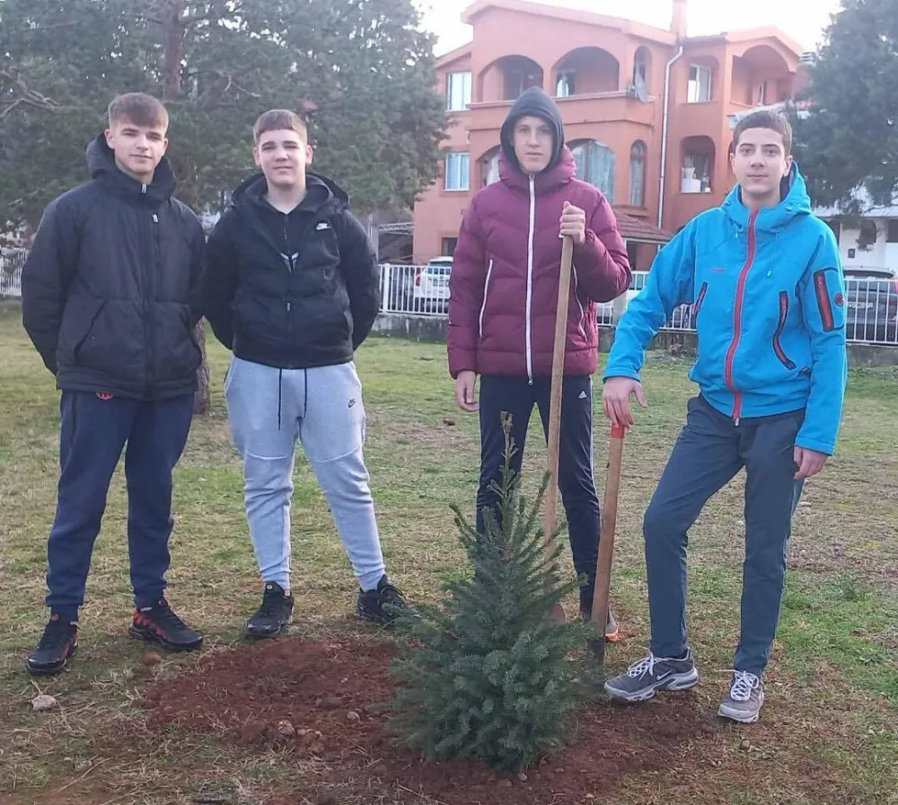 Presadili jelku u O&Scaron; &bdquo;Pavle Rovinski&ldquo;