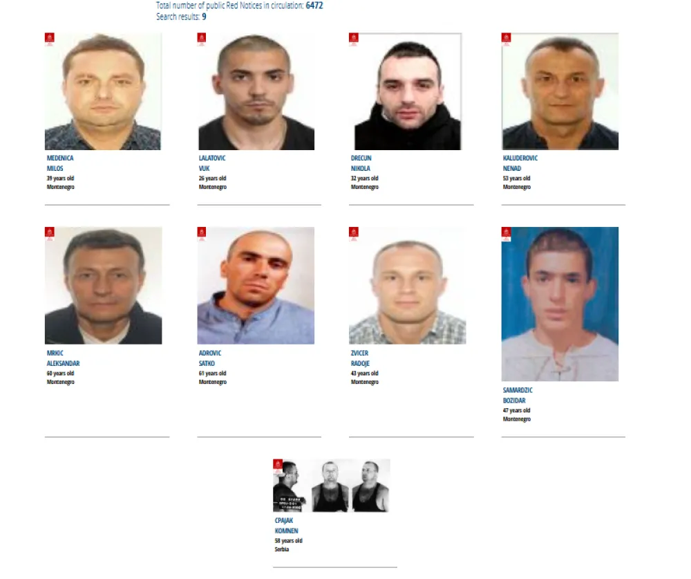 Ko je sve na spisku crvene INTERPOLOVE potjernice po zahtjevu Crne Gore: Od Zvicera do Medenice&nbsp;