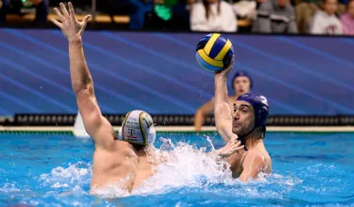 Dra&scaron;ko Brguljan