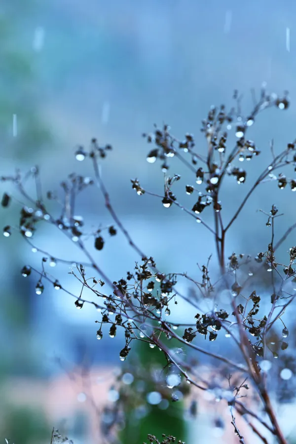 Sjutra ki&scaron;a i snijeg
