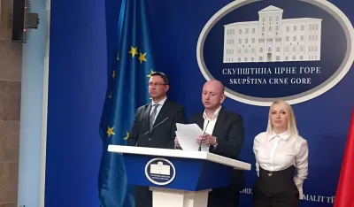 DNP predao predlog Skup&scaron;tini - trobojka da bude "narodna i istorijska" zastava