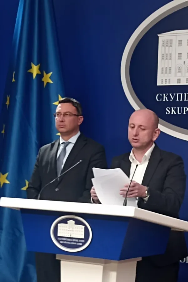 DNP predao predlog Skup&scaron;tini - trobojka da bude "narodna i istorijska" zastava