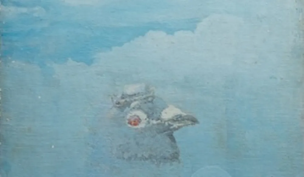 Preminuo prof. Smail Smajo Karailo