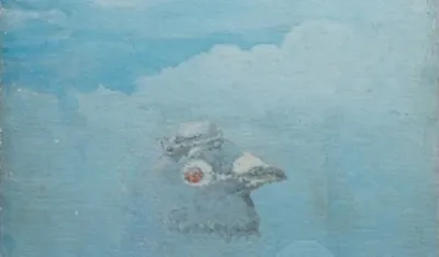 Preminuo prof. Smail Smajo Karailo