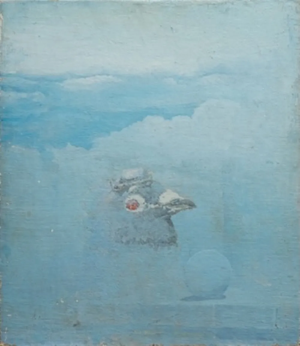 Preminuo prof. Smail Smajo Karailo