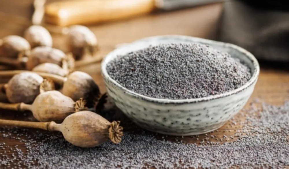 Za&scaron;to mak treba jesti zimi? Ovo su neki od razloga&nbsp;