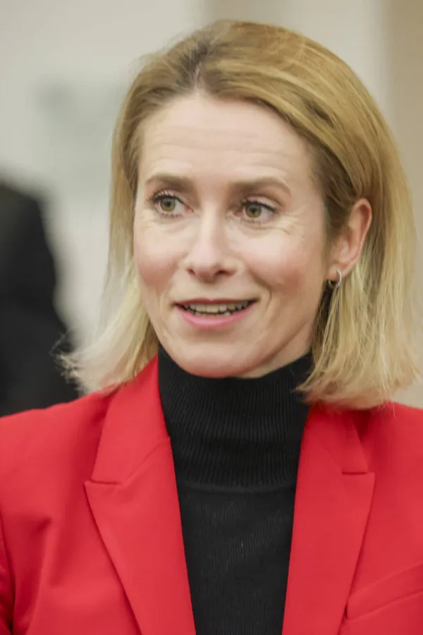 Kalas: Grenland je stub nove strategije EU za Arktik