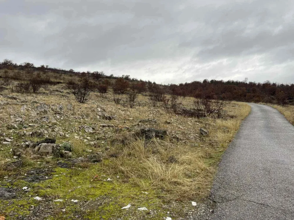 (VIDEO) Stanovnici naselja &Scaron;teke, Popratnica i Kornet peticijom protiv stočnog groblja uz put