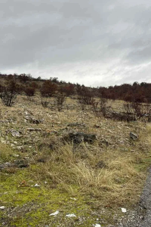 (VIDEO) Stanovnici naselja &Scaron;teke, Popratnica i Kornet peticijom protiv stočnog groblja uz put