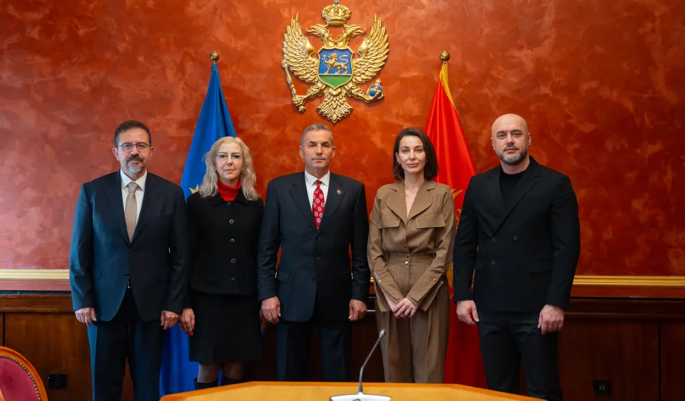 Članovi Odbora za međunarodne odnose i iseljenike