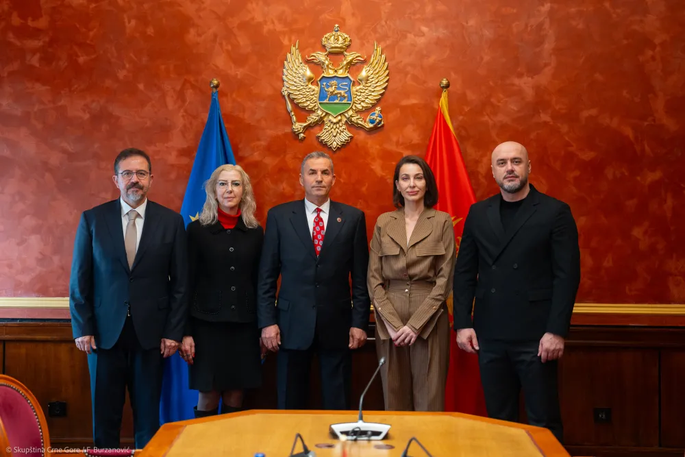 Članovi Odbora za međunarodne odnose i iseljenike