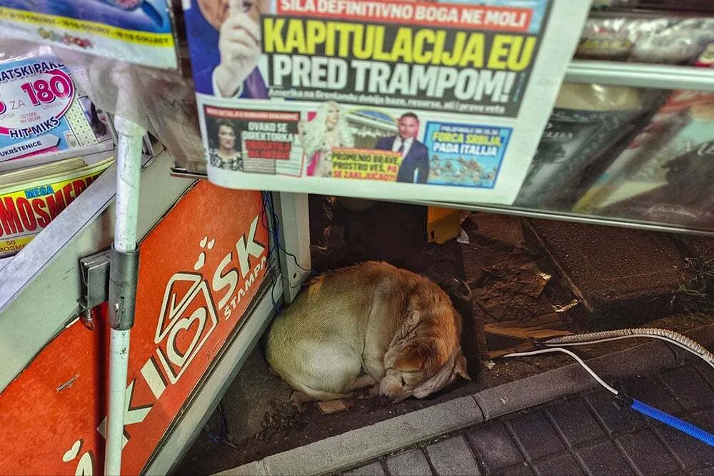 Dobra stara hipokrizija