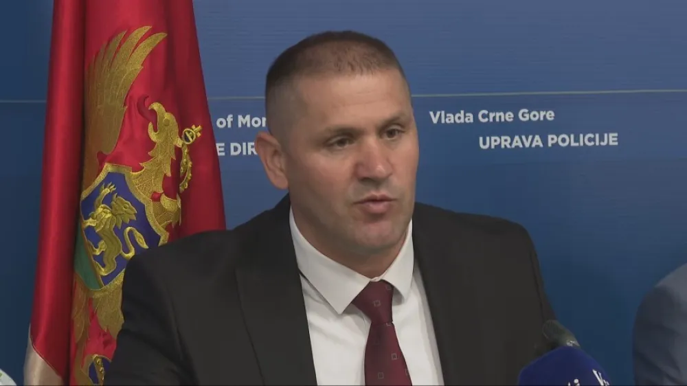 &Scaron;ćepanović: Vesna Medenica posjetila sina dan pred bjekstvo, znamo ko mu je pomogao