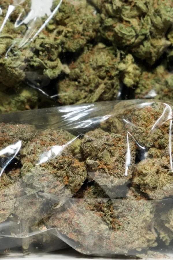 U Sjevernoj Makedoniji zaplijenjeno 27 tona marihuane