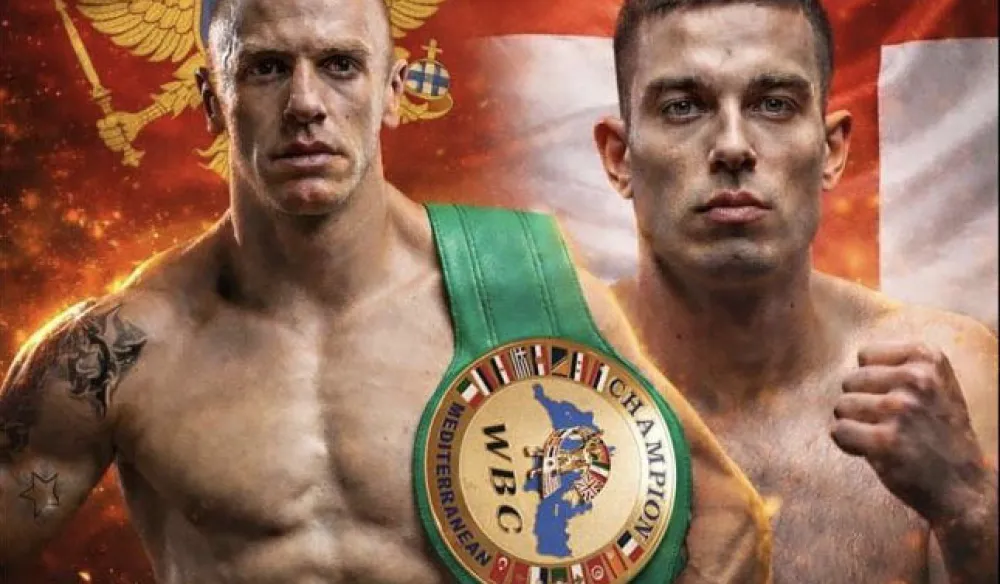 Borba karijere Zvjezdana Vidakovića