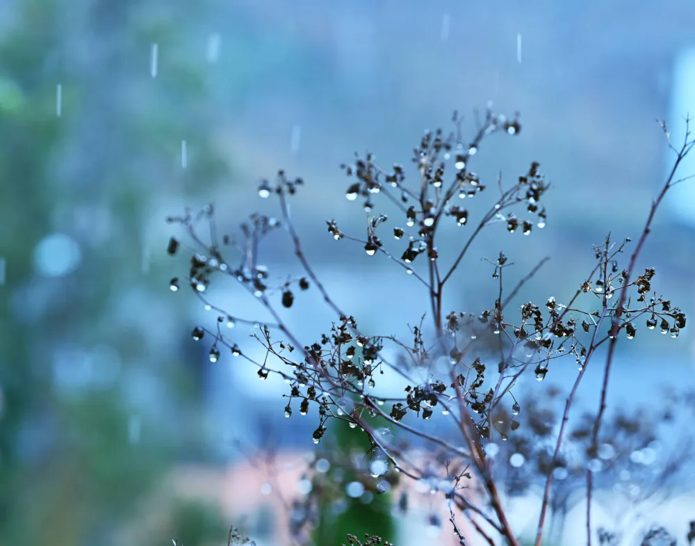 Sjutra mjestimično ki&scaron;a, na planinama moguć slab snijeg