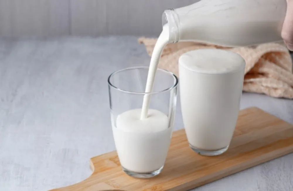 Ovo je najbolji mliječni proizvod za redovnu probavu