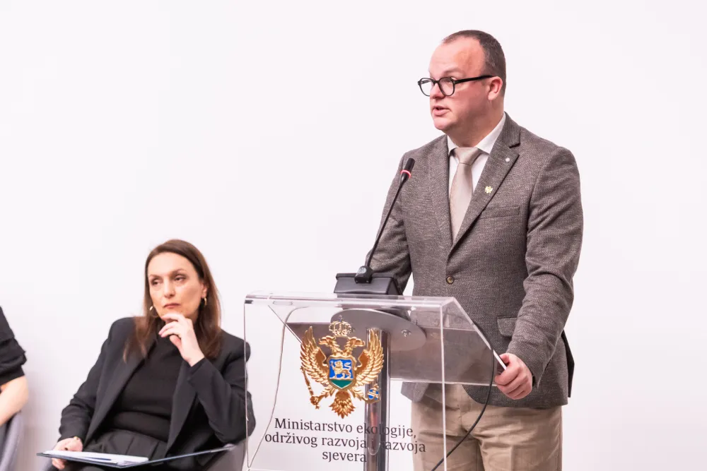 Ćulafić: Usvajanje Strategije niskougljeničnog razvoja početak zahtjevnog, ali neophodnog procesa