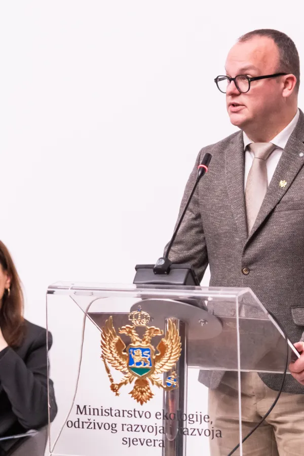 Ćulafić: Usvajanje Strategije niskougljeničnog razvoja početak zahtjevnog, ali neophodnog procesa