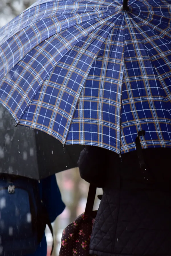 Sjutra oblačno sa ki&scaron;om, do 15 stepeni