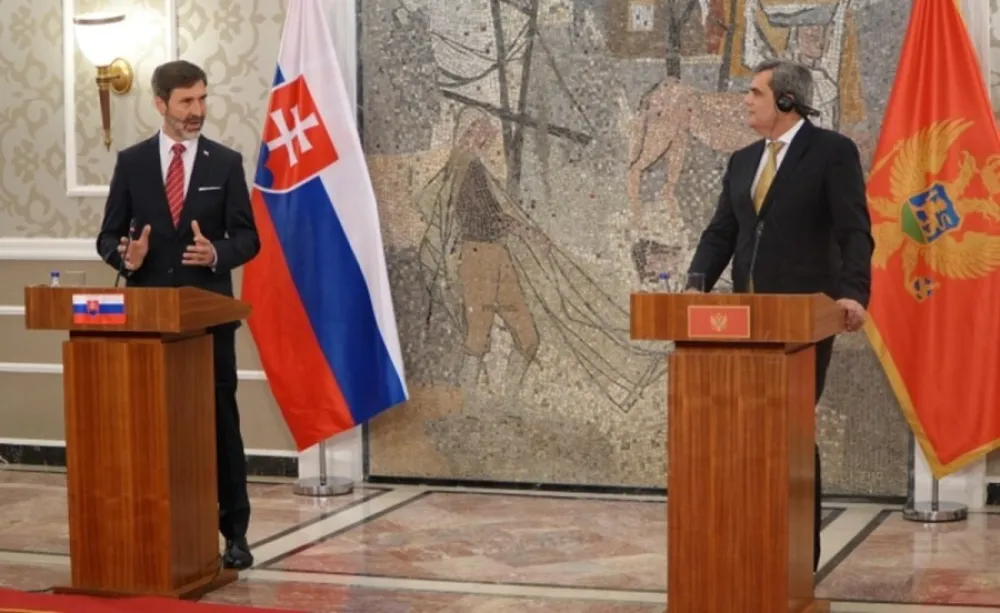 (VIDEO) Blanar: Crna Gora može postati članica EU 2028. godine