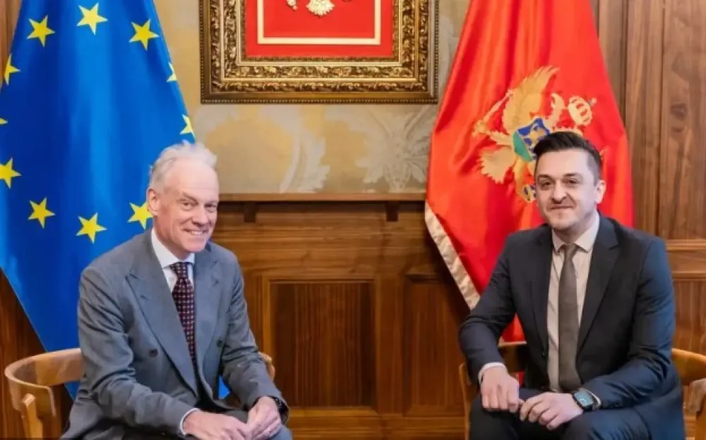 MF: Fokus na poglavlja 9 i 29 i reformama i efikasnijem kori&scaron;ćenju evropskih fondova