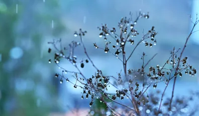 Sjutra ki&scaron;a, do 15 stepeni