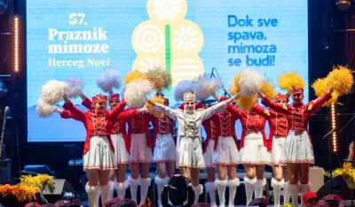 Otvoren praznik mimoze