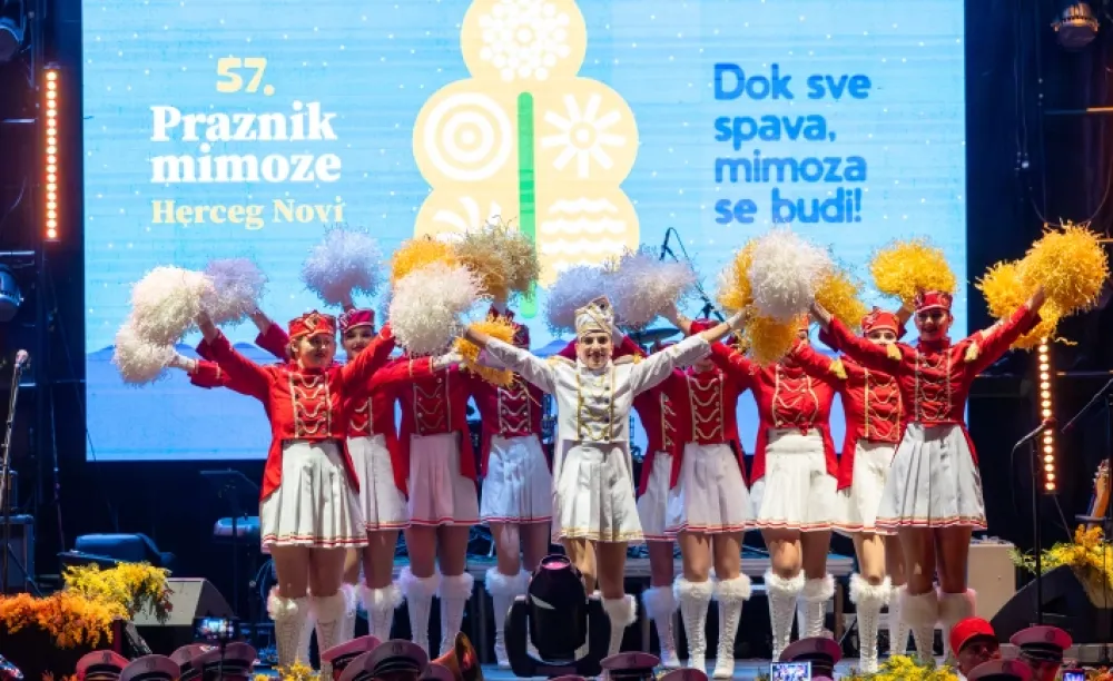 Otvoren praznik mimoze