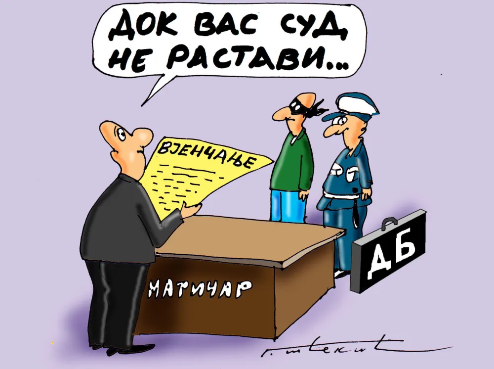 Goran &Scaron;ćekić karikatura Dana