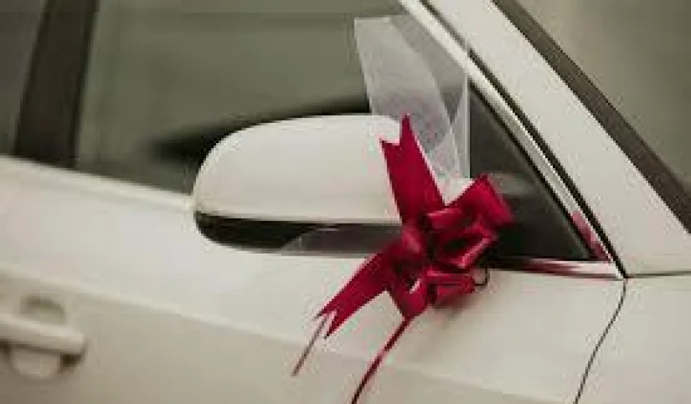 Policija presrela svadbenu kolonu u Hrvatskoj, slijede žestoke kazne