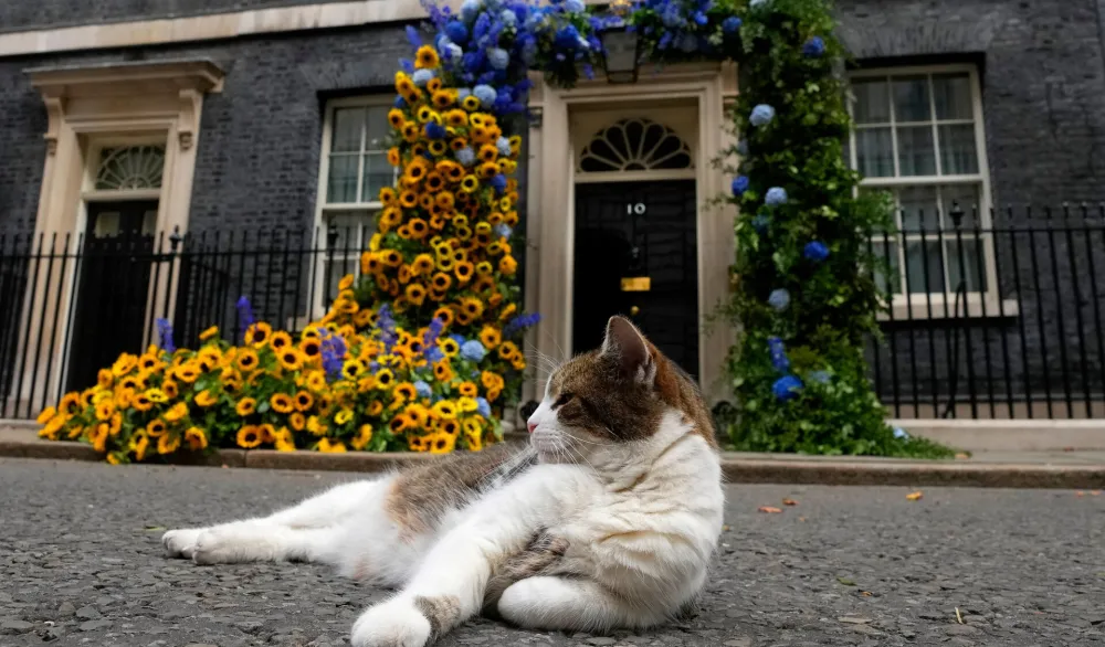 Konzervativci i laburisti se mijenjaju, Lari je konstanta: "Glavni lovac mi&scaron;eva" napunio 15 godina