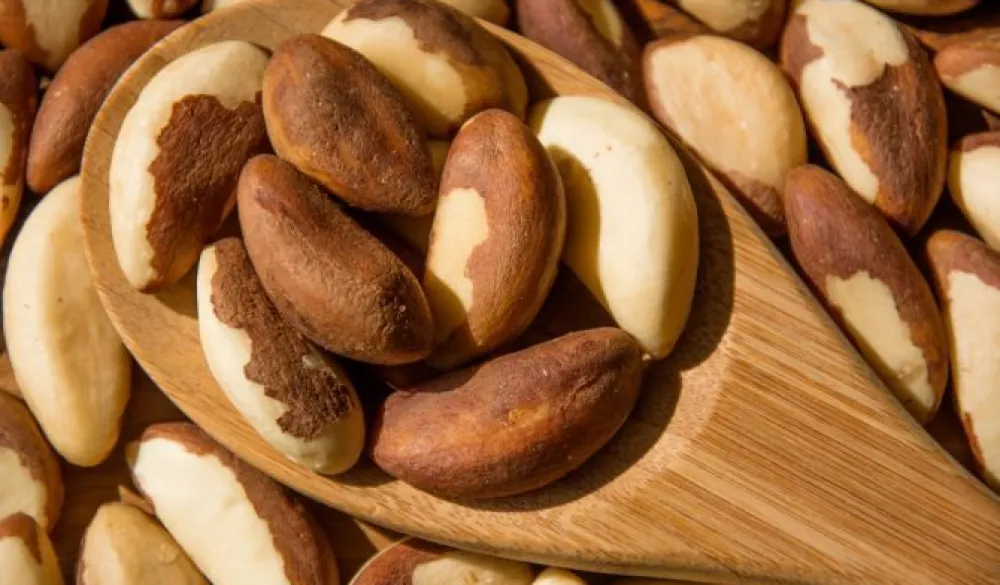 Koliko je zapravo zdrav brazilski orah?