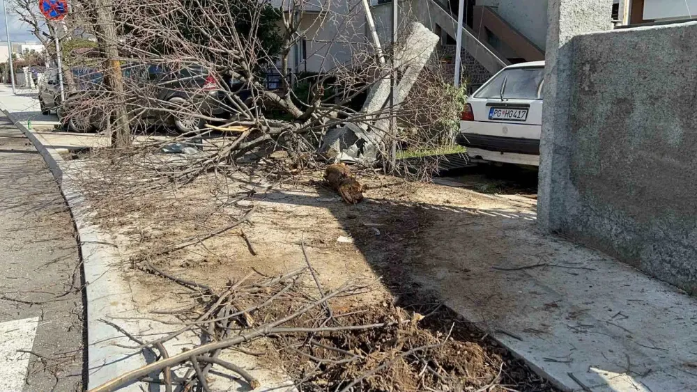 (VIDEO) Stanovnici Kozaračke ulice u Podgorici traže da se vrate usporivači brzine